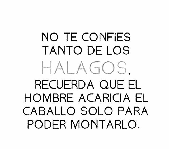 El hombre solo acaricia al caballo pareja busca chica Telde-9077