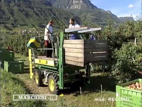 La máquina de la fruta bloquea ley-64509