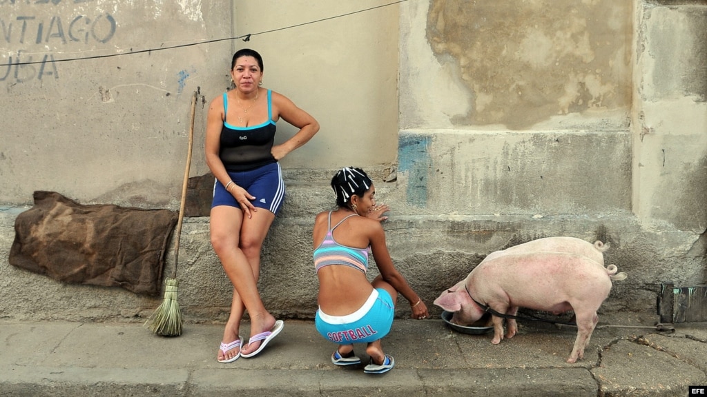 Mujeres solteras en santiago de Cuba sexo no carro Feira de Santana-3195